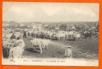 CORBIGNY -  Le Champ De Foire  ( Vaches ) - Corbigny