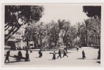 CARTE PHOTO   ALGERIE  BONE  Place Du Théâtre Et Square De La Liberté N°965 - Autres & Non Classés