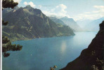 Suisse-UR Uri, Blick Von Seelisberg Auf Den Urnersee Mit Sisikon Und Tellskapelle. Circule Oui 1967 - Seelisberg