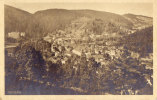 Triberg Panorama - Triberg