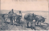 102 - ALGERIE. -  Métiers Indigènes - Bourricotiers, Chargeurs De Sable CPA écrite En 1911 - Professions