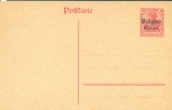 België Belgique Belgium Carte-postale Occupation Gouvernement Général 12 1917 MNH XX - Deutsche Besatzung