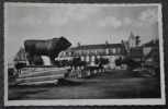 CPSM 12 - LAGUIOLE - MONUMENT DU TAUREAU - 1950 - - Laguiole