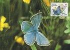Amandas Blue Finnish Maxicard.  B-282 - Butterflies