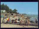 Les Moutiers En Retz Le Pré Vincent édit.guitteny N° 556 Animée Plage - Les Moutiers-en-Retz