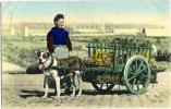 Attelage De Chien - Belgique - Laitière / Handcolored Postcard, 1912 - Straßenhandel Und Kleingewerbe