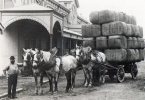 Hauling Wool C1885 - Draught Horses With 4 Tons Wool Bales Used 1981 - The Old Australia Picture Co. - Zonder Classificatie