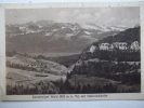 CPA Sanatorium Wald ( 910 M U M ) Glarnischkette - NO - Wald