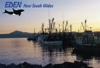 Eden, NSW - The Whale Town, Sunset At The Wharves, Looking To Mt Imlay, Unused, Rose Series - Andere & Zonder Classificatie