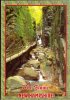 The Flume Gorge  ***  état Neuf  ** - Ed Eastern - White Mountains