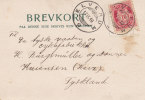 Norvège - Carte Postale De 1910 - Oblitération Elverum - Cartas & Documentos