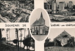 CP SM PF  (86)  Souvenir De LUSSAC - LES - CHÂTEAUX  / - Lussac Les Chateaux