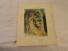 LION GRAVURE  TETE DE LION IGNE GUSTAVE WERTHEIMER 1847 1904 - Lions