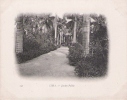 LIMA 141 JARDIN PUBLIC 1903 - Pérou