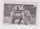 HUNGARY BUDAPEST ELEPHANTES Nice Postcard - Elephants