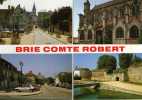 BRIE COMTE ROBERT    MULTIVUES - Brie Comte Robert