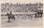 PERPIGNAN  ( PHOTO )  Les Arénes - Perpignan