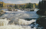 White Water Tumbles Over Rocky Falls In A Wilderness Paradise - Sonstige & Ohne Zuordnung