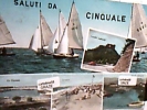 SALUTI DA CINQUALE E MONTIGNOSO VEDUTE CASTELLO AGHINOLFI VB1967 DJ12395 - Massa