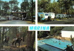 Carte Postale 40. Mimizan  Camping MARINA  Trés Beau Plan - Mimizan