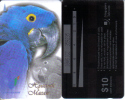Singapore-sin-104c-hyacinth Macaw(1997)-$10-used Card+1 Card Prepiad Free - Perroquets