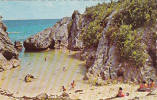 Bermudes Bermuda - Warwick - Jobson's Cove - Unused - Neuve - Bermudes