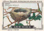 Image / Les Nids / Loriot - Oriolus-oriolus / Oiseau Bird Nid Oeuf  // IM K-26/13 - Nestlé