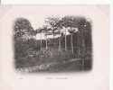 LIMA  142  JARDIN PUBLIC 1903 - Pérou