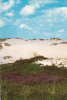 B35902 Sylt Insel Nordsee Used Perfect Shape - Sylt