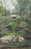 Beautiful Atlanta - Dogwoods In Bloom - Georgia - Atlanta