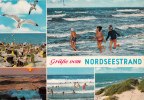 B35931 Nordseestrand Used Good Shape - Norden