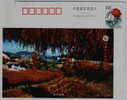 Dried Capsicum,China 2001 Yanshan Vegetable Industry Advertising Pre-stamped Card - Groenten