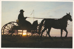 Amish Tranquility - Horse And Cart - Other & Unclassified