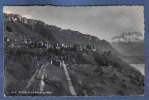 Carte Postale Suisse  Glion  Et Les Dents Du Midi Trés Beau Plan - Ilanz/Glion