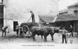 Ecole Professionnelle De BRIGNAIS. Les Agriculteurs. (attelage De Boeufs Chargé Par 3 Apprentis, Animation) - Brignais