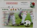 Prize Voting For Result Of 2002 FIFA World Cup Korea Japan,Soccer,Football,CN 00 Maanshan Post Advert Pre-stamped Card - 2002 – South Korea / Japan