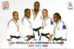 JUDO : Les MEDAILLES Français Des CHAMPIONNATS DU MONDE 2011 à PARIS - Martial