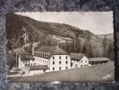 (38).MENS.COLONIE DE VACANCES DU FOREYRE.ANNEES 50-60.PHOTO VERITABLE. - Mens