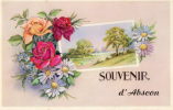 ABSCON (59) Carte Fantaisie Souvenir - Altri & Non Classificati