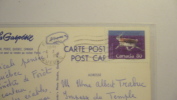 Caribou De Peary + Tampon Quebec 1991 - Brieven En Documenten