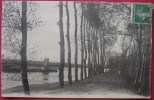 Dep 45  Cpa  CHATILLON Sur LOIRE ,  Bords De La Loire  (11) - Chatillon Sur Loire