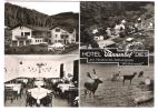 Deutschland - Dies Im Gelbachtal - Hotel Restaurant Cafe Pension " Tannenhof "  - Hirsch - Car - Auto - Diez