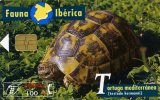 TELECARTE UTILISEE ....FAUNE IBERIQUE.....TORTUGA MEDITERRANEA.....VOIR PHOTO SCANNEE - Colecciones