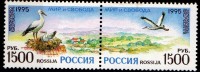 PIA -  RUSSIE  -  1995  :  Europa  (Yv  6152-53) - 1995