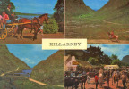 KILLARNEY - Set In The Heart Of Country Kerry, Killarney Is World Renowned For The Beauty Of Its Lakes And Mountains - - Kerry