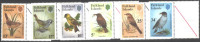 FALKLAND - BIRDS - OISEA   - **MNH - 1982 - Collezioni & Lotti