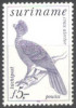 SURINAM   - BIRDS   - **MNH - 1979 - Gufi E Civette