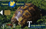 TELECARTE UTILISEE ....FAUNE IBERIQUE.....TORTUGA MEDITERRANEA.....VOIR PHOTO SCANNEE - Sammlungen