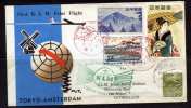 1er Vol TOKYO-AMSTERDAM Par Le Pôle Date Du 4 Novembre 1958 Avec Imprimé à L'intérieur - Poste Aérienne