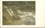 Head Of Kingstown ** Tb Cpa -// RARE //  ** Ed Phot By Vendor-  Dos SIMPLE  - - Jamaica